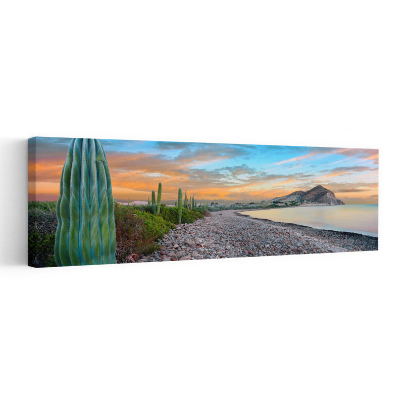 Cardon Cacti Line Along The Coast Bay Of Concepcion Sea Of Cortez Mulege Baja California Sur Mexico by Leo L. Larson - Wrapped Canvas Panoramic Print