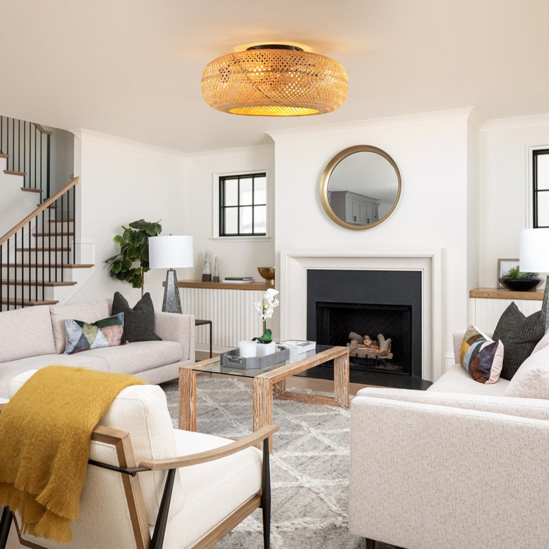 Ventilateur de plafond en cage 19,68 po avec ensemble de 4 lumières et télécommande