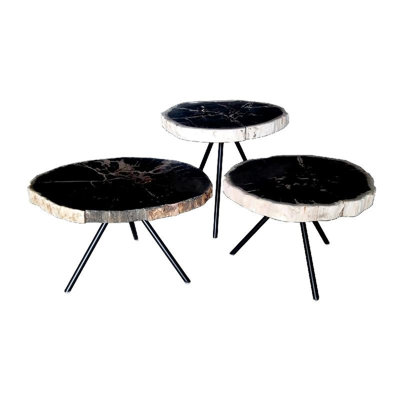 Nhyira Coffee Table