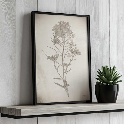 Wildflower Journal Vintage I by Nathan Larson Art Print