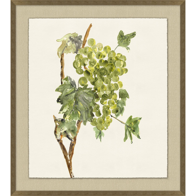 Vineyard Grapes Impression 3 Print by Nathan Turner