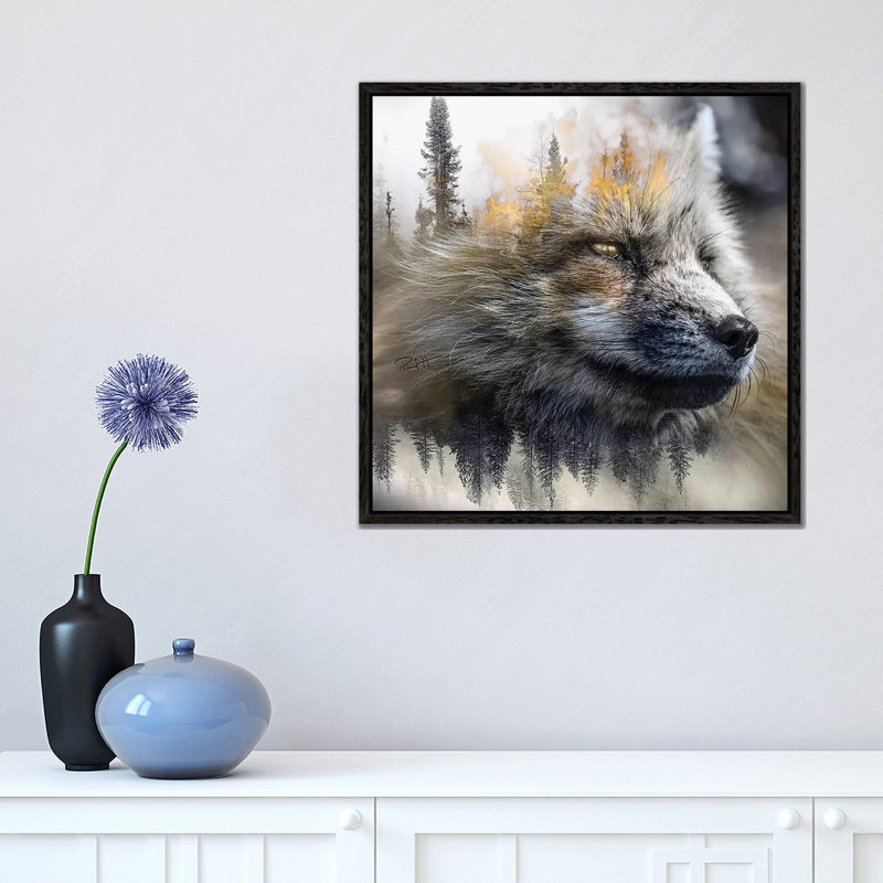 Golden Fox by Paul Haag - Print on Canvas, Black Framed, 45.72 cm H x 45.72 cm W
