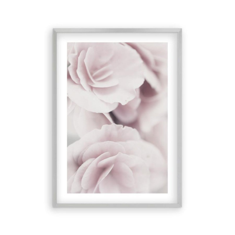 Print, Matt Silver Frame, 61 cm H x 43 cm W x 2.5 cm D