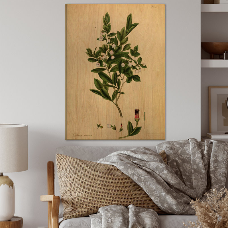 Vintage Plant Life XXV - Décoration murale traditionnelle, Cadre photo argenté, H 32 po x l 16 po x P 1 po