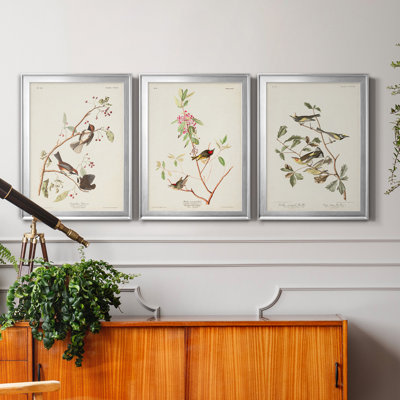 Pl. «194 Canadian Titmouse», ensemble de 3 reproductions d'art sur toile encadrées