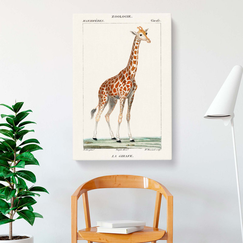 Giraffe by P.J.F. Turpin - Wrapped Canvas, 76cm H x 50cm W x 3cm D