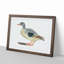 Duck by Johan Teyler - Framed Print-55620990-55620991