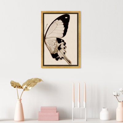 " Animals Sepia Butterfly II Insects "