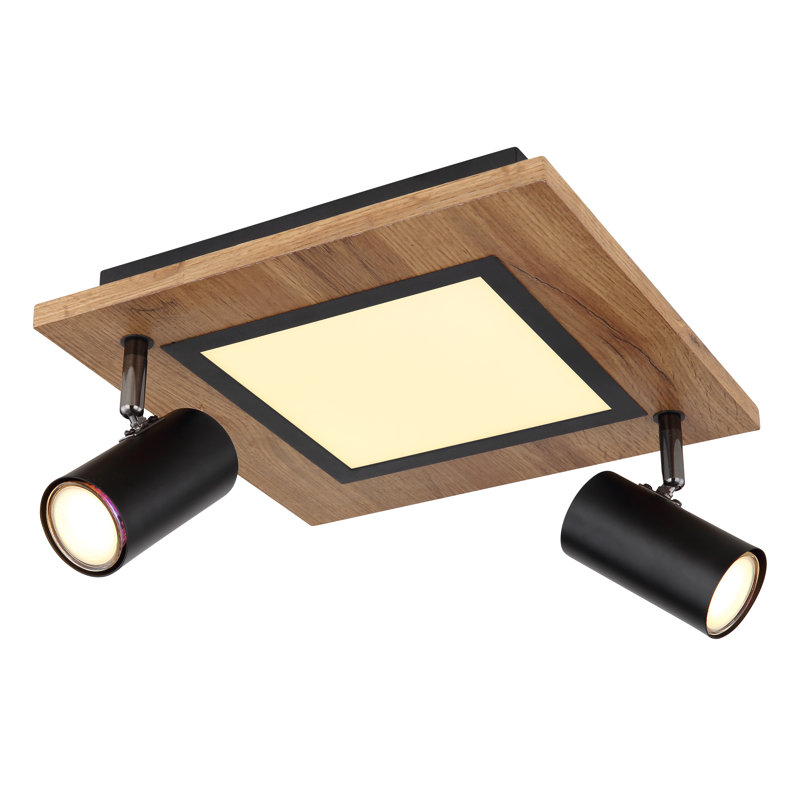 Ayela LED Spotlight