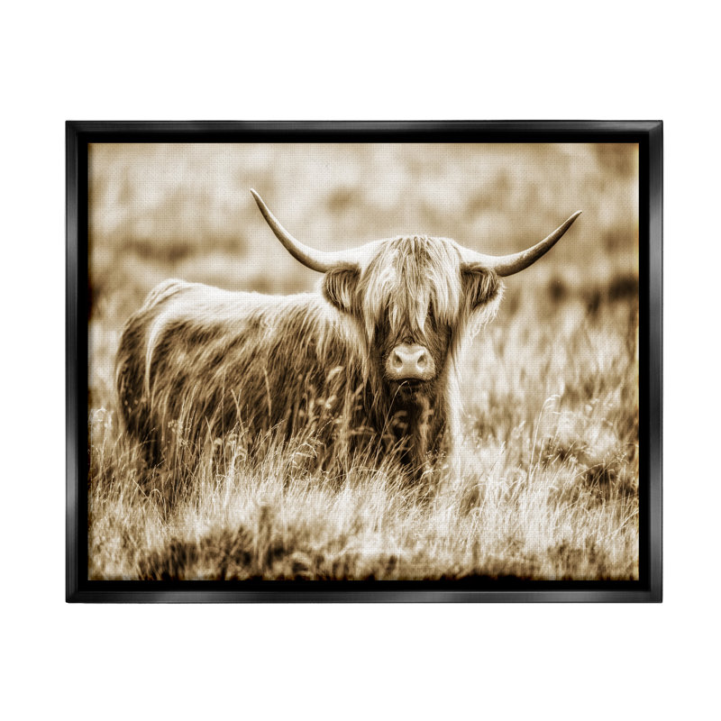 «Vintage Cow in Pasture Grain», art mural sur toile flottante par Villager Jim, H 25 po x l 31 po