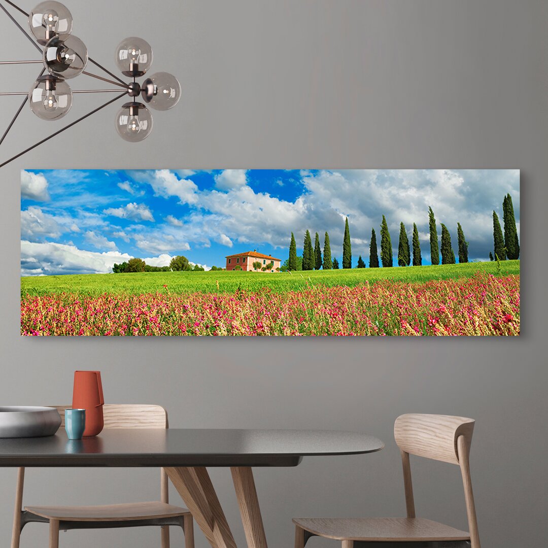 Fotodruck Landschaft mit Zypressenallee und Esparsetten, San Quirico D'Orcia, Toskana von Frank Krahmer