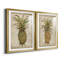 «Pineapple Study I», ensemble de reproductions d'art sur papier encadré-1370695830-1370695831