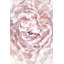 « floraling fleur », reproduction sur toile tendue-1647389375