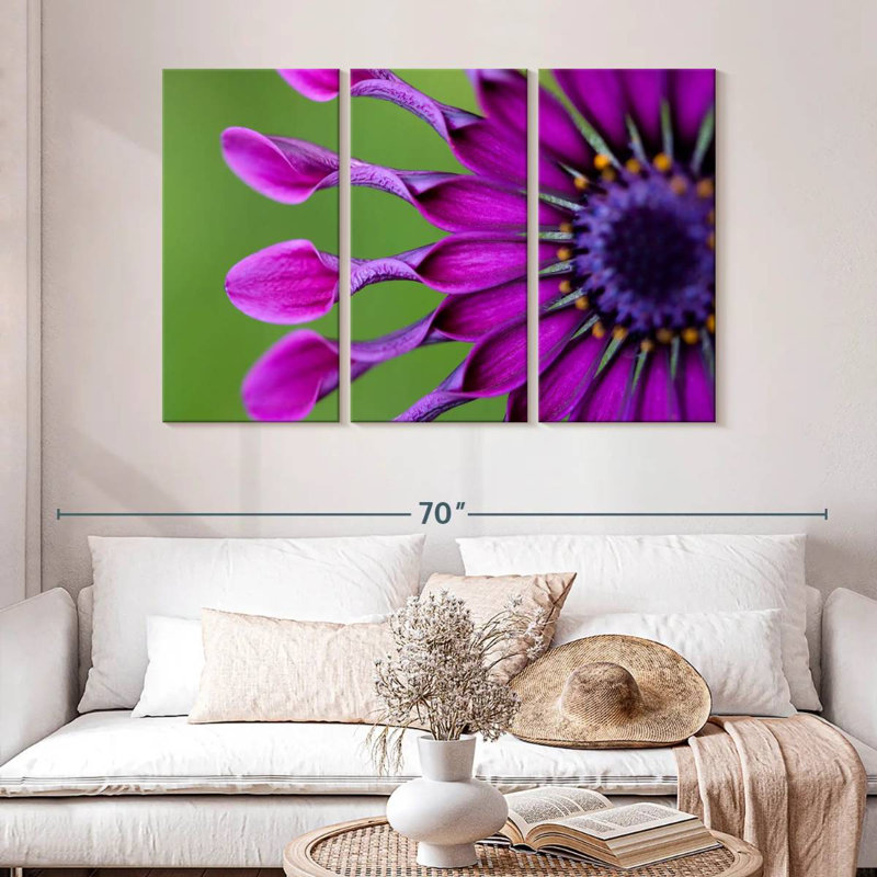 Harnek Exotic Purple African Daisy, 32" H x 50" W
