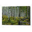«Aspen Grove Rail Fence», art mural sur toile-25769401