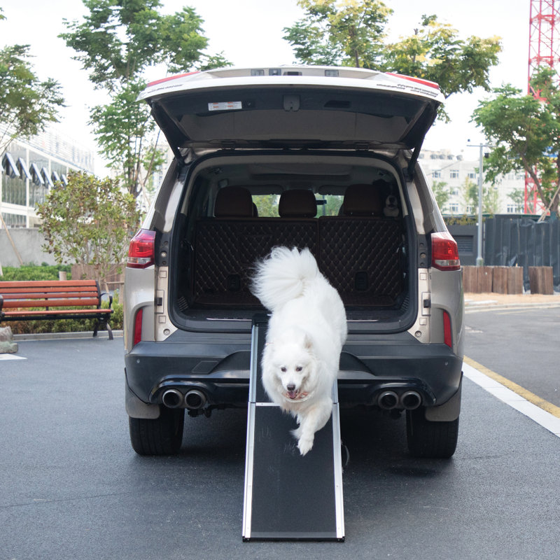 Rampe pour chien pliable noire en aluminium avec poignée et repose-pieds antidérapants, pour tous les chiens de taille facile à nettoyer