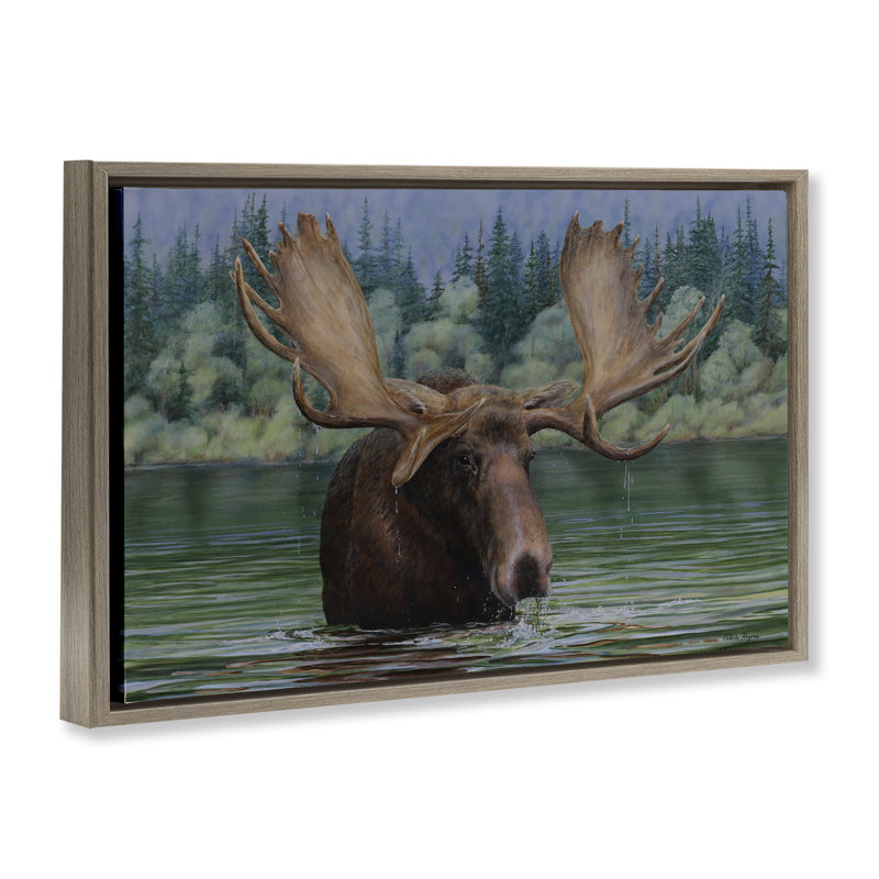  Orignal nageant dans le lac sur toile flottante par Valerie Rogers, H 17 po x l 25 po, Cadre flottant orme Montalcino