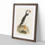 Atlantic Puffin by Von Wright - Framed Print-55456860-55456862