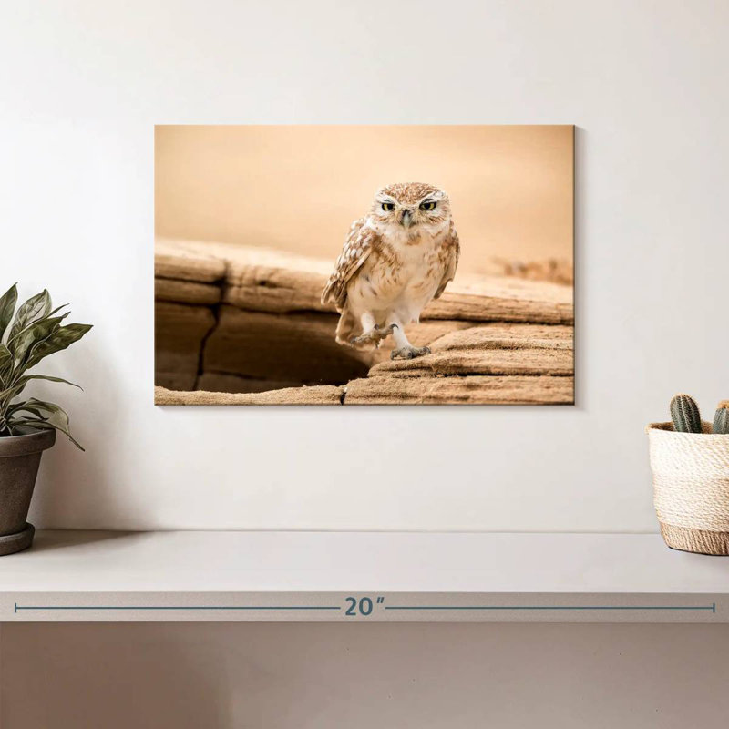 Brampt Desert Owl, 8" H x 12" W