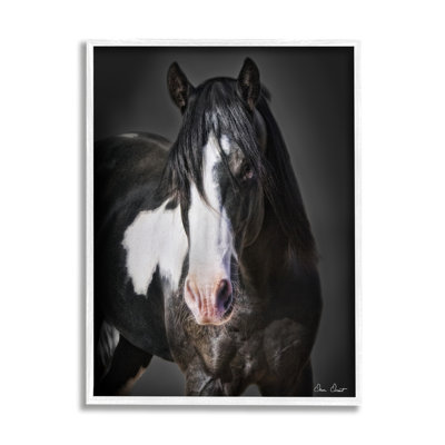 " Black & White Horse " by David Drost