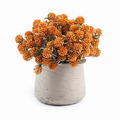 Orange Berries In Patt Pot