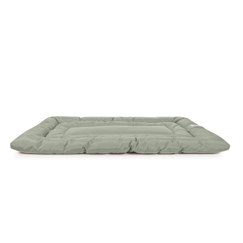 Coussin confortable Brutus Tough Resistant, Très grand (l 48 po x P 30 po x H 2 po), Vert