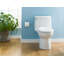  Toilette Monobloc Allongée De 1,6 Gpf Champion