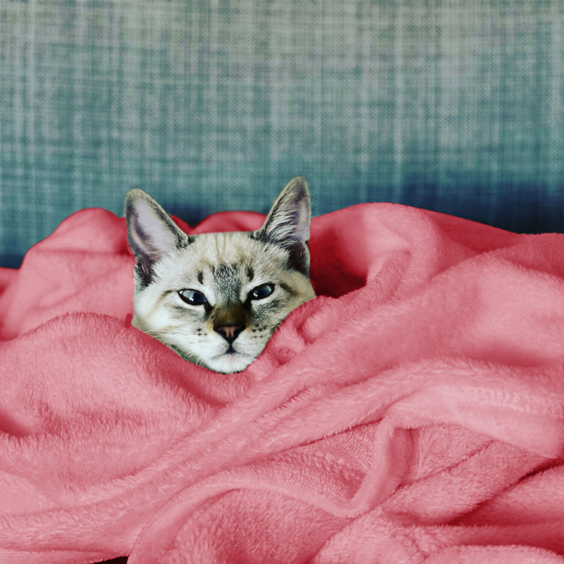 Carsonhill Reversible Mink Faux Fur Plush Fleece Throw/ Blanket, Pink, W150 x L200cm