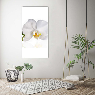 White Orchid - Wrapped Canvas Print