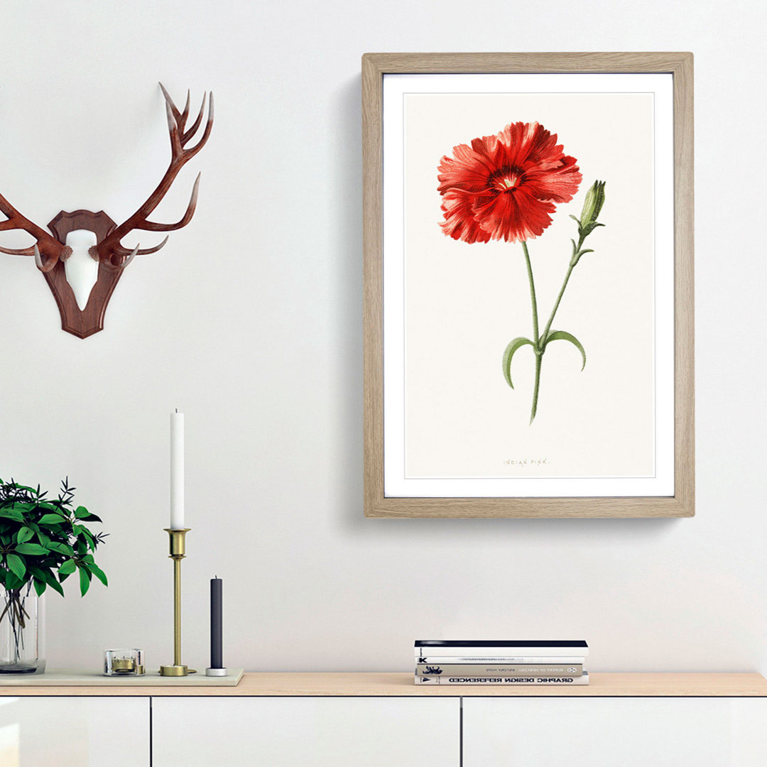 Pink Flower by Frederick Edward Hulme - Framed Print