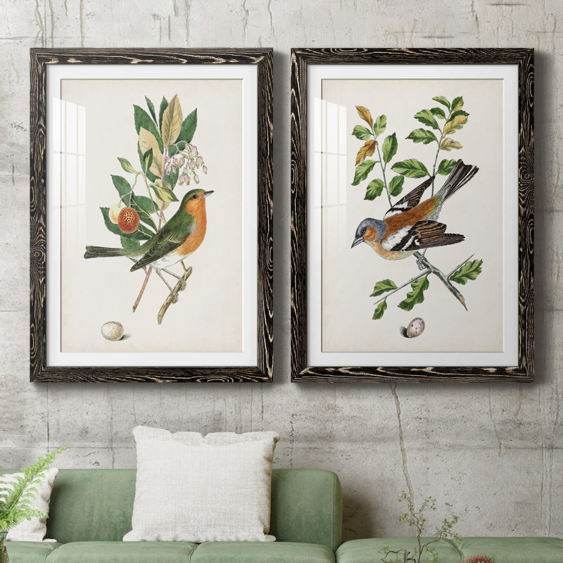 Oiseau antique, botanique et œuf I - ensemble de 2 reproductions d'art sur papier encadré, H 43,5 po x l 31,5 po x P 1 po