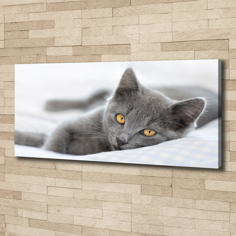 Gray Cat - No Frame Print, Canvas, 50cm H x 125cm W x 2cm D