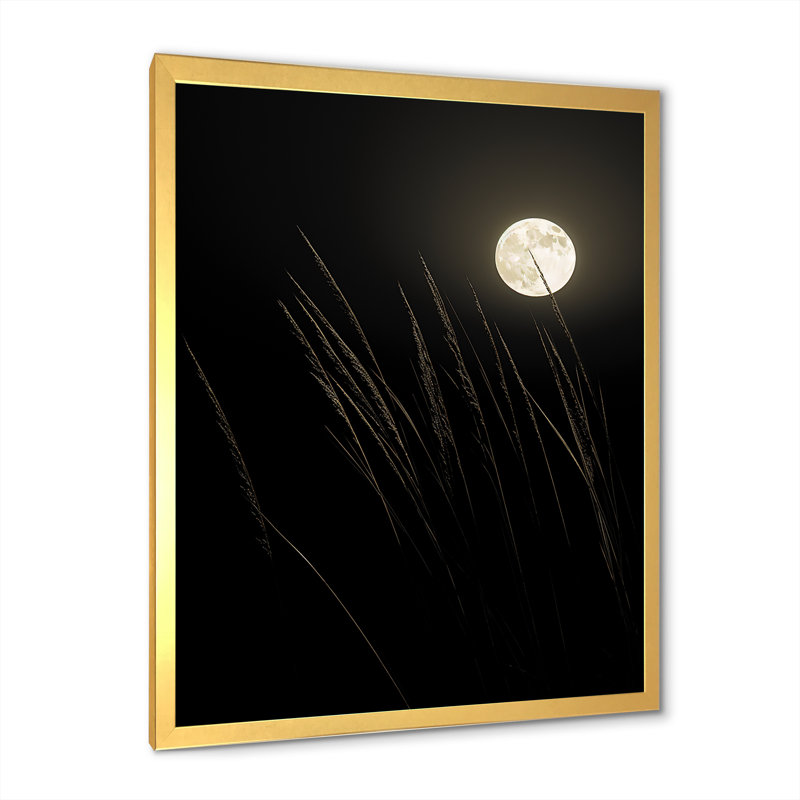 Ivoire, isolement au clair de lune I, Cadre doré simple, H 32 po x l 24 po x P 1 po