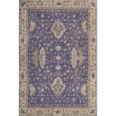 Premium Machine Washable Bucz AMF1739 Border Rug