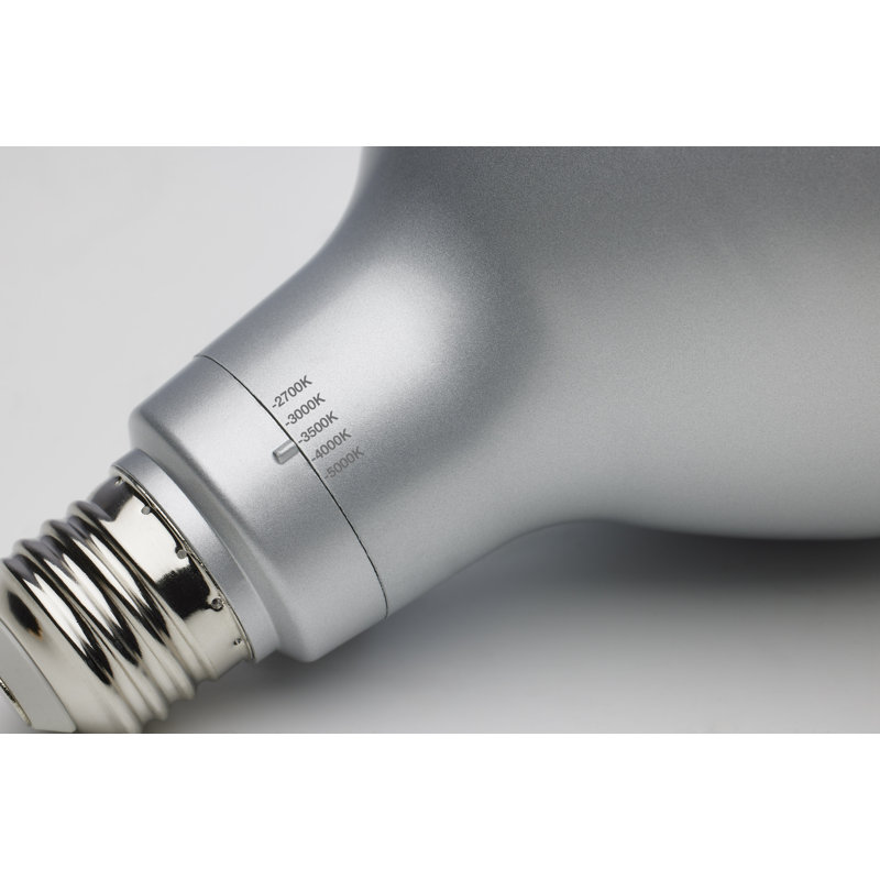 21 Watt Dimmable LED Bulb