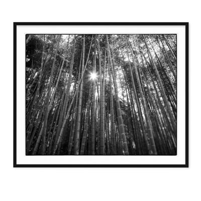 Bamboo Forest - Photographie de cadre photo sur papier
