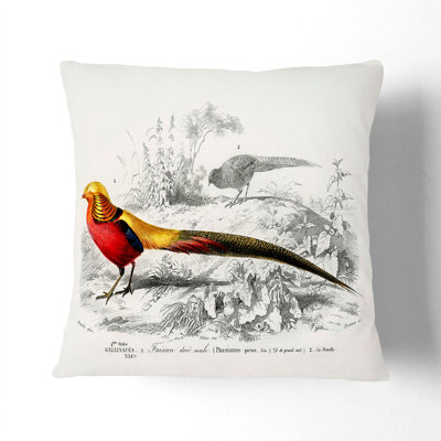 Male Golden Pheasant by Charles D' Orbigny Cushion with Filling