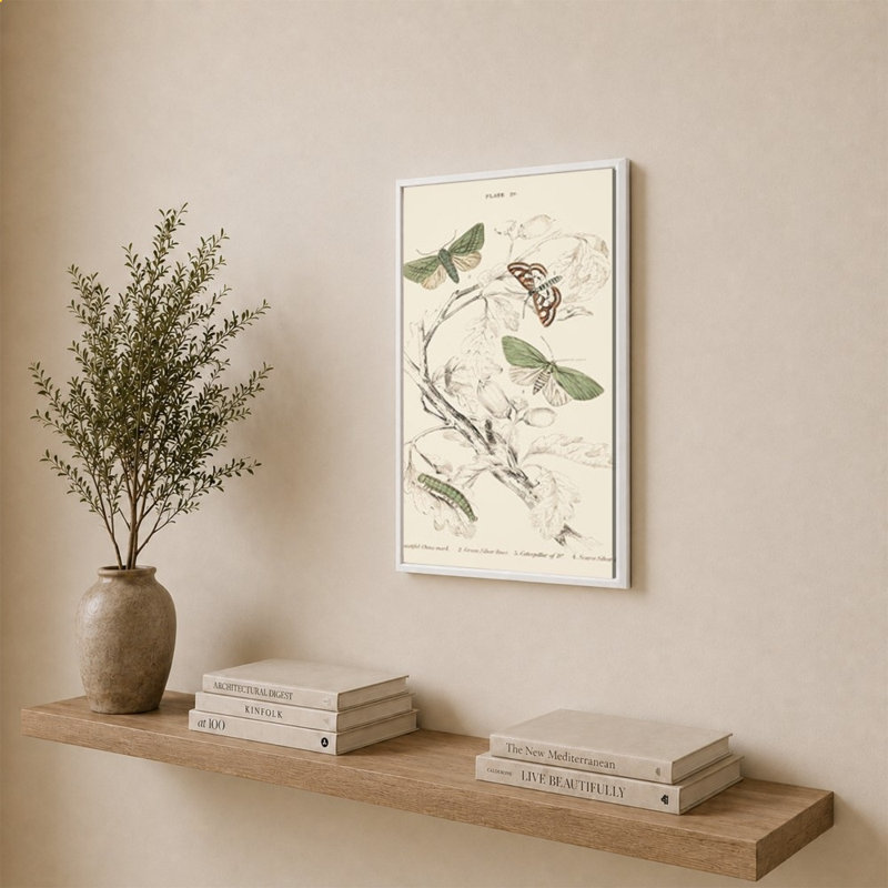 Mariposas I par V. Larkspar - Impression sur toile, H 34 po x l 24 po, Blanc