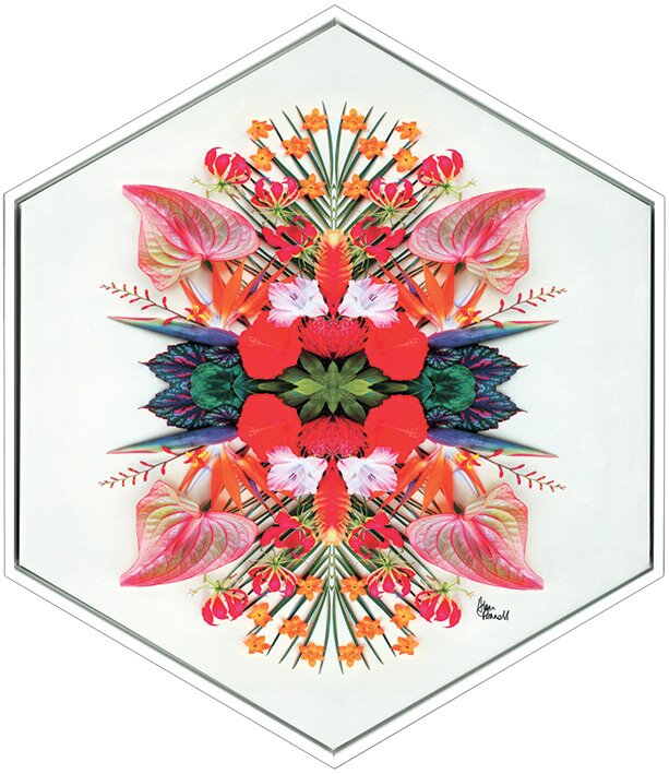 Gerahmtes Leinwandbild Tropical Symmetry von Alyson Fennell