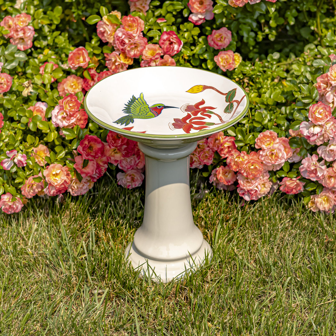 Bilguun Ceramic Single Tier Birdbath Red Barrel Studio®