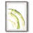 Lichen Halo VI -Framed Print