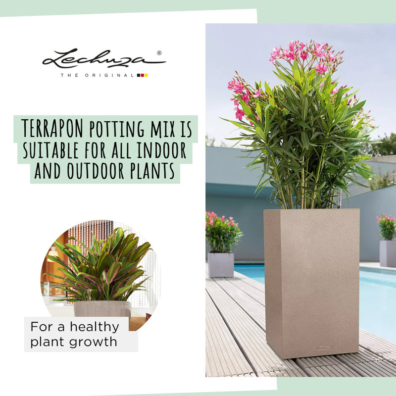 Plant Substrate, 38.5cm H x 22cm W x 10.5cm D