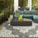 Junor Oriental Indoor / Outdoor Rug