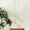 Reflection Breeze Pendant Lights