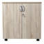 Ekaterini 2 -Door 1 -Shelf Storage Cabinet