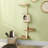 124.46cm H Cat Tree