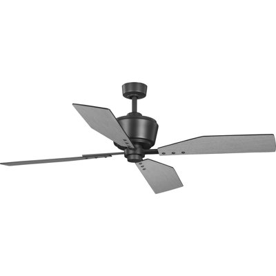 Chapin 56'' Ceiling Fan