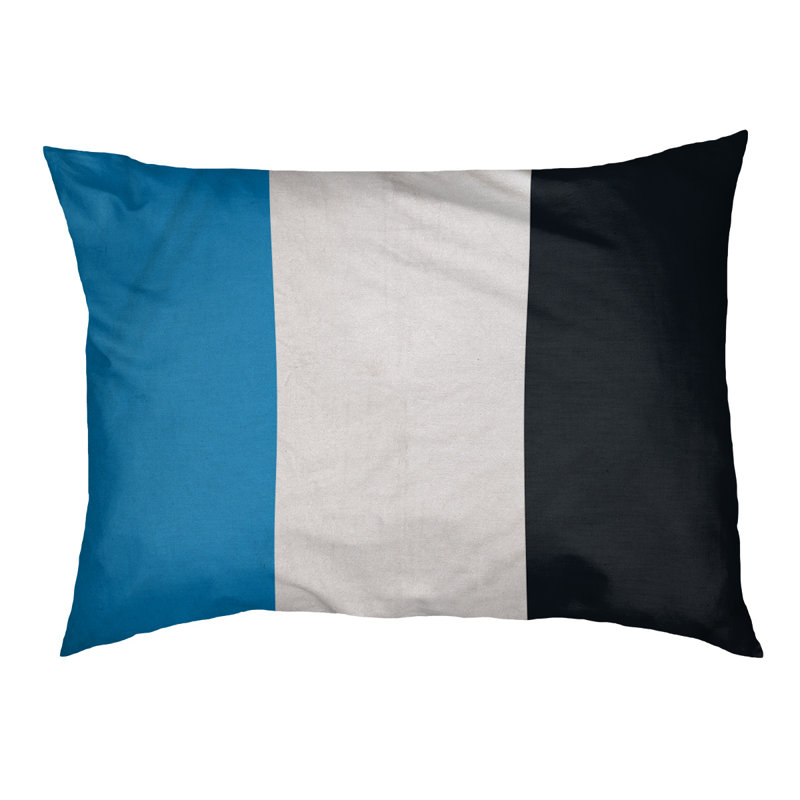 Coussin Detroit, Petit (l 28 po x P 18 po x H 6 po), Blue/White/Black
