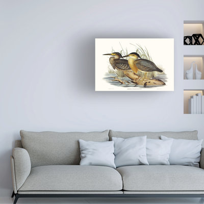 Bolognaise «Waterbird Jumelage IV»
