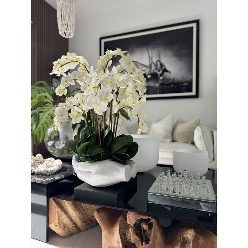 Orchid Floral Arrangement in Vase, White